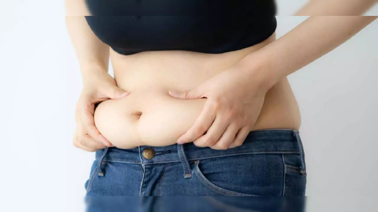 Reason For Belly Fat: पेट का शेप बता देगा किस लिए बढ़ रहा वजन, यहां जानें कारण