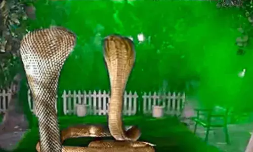 Naagin 7 Shooting Update