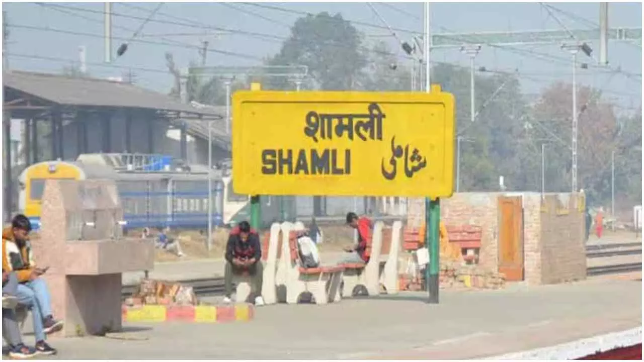 Shamli News : लापता ई-रिक्शा चालक का शव ईख के खेत में मिला, मचा हड़कम्प