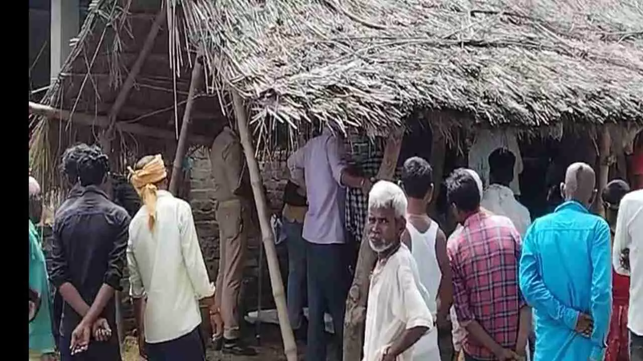 Barabanki News: जंगली जानवर ने बनाया बछड़े को अपना शिकार, घटना से मची दहशत, पहले भी किया हमला