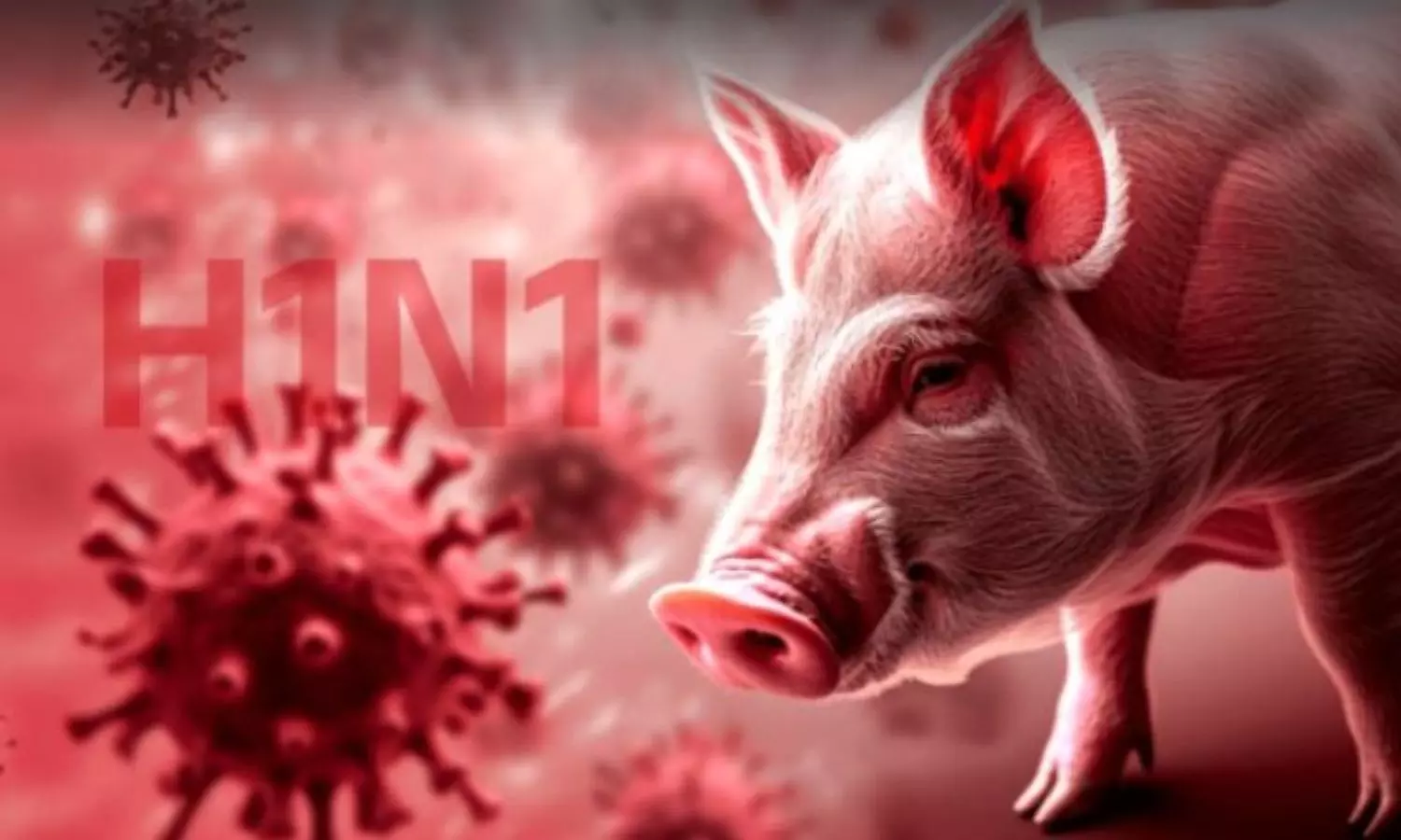 swine flu