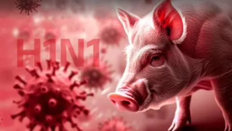 swine flu