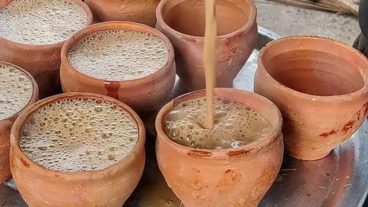 Lucknow Famous Chai Wali, Model Chai Wali