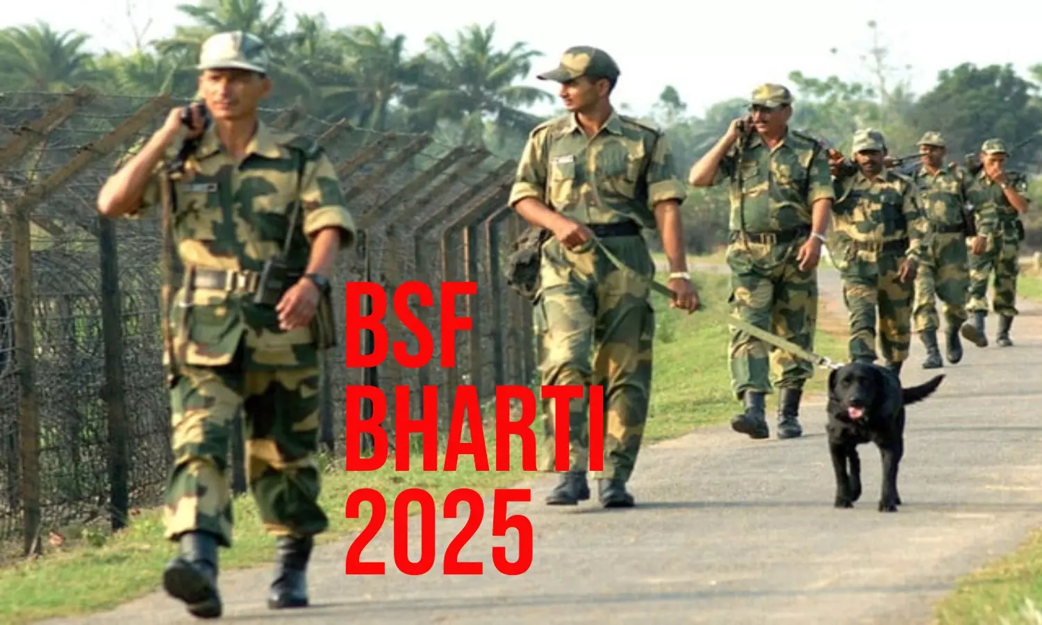 BSF BHARTI 2025: 10 वीं पास के लिए BSF में 15000 भर्तियां, 13 भारतीय भाषाओं में होगी परीक्षा