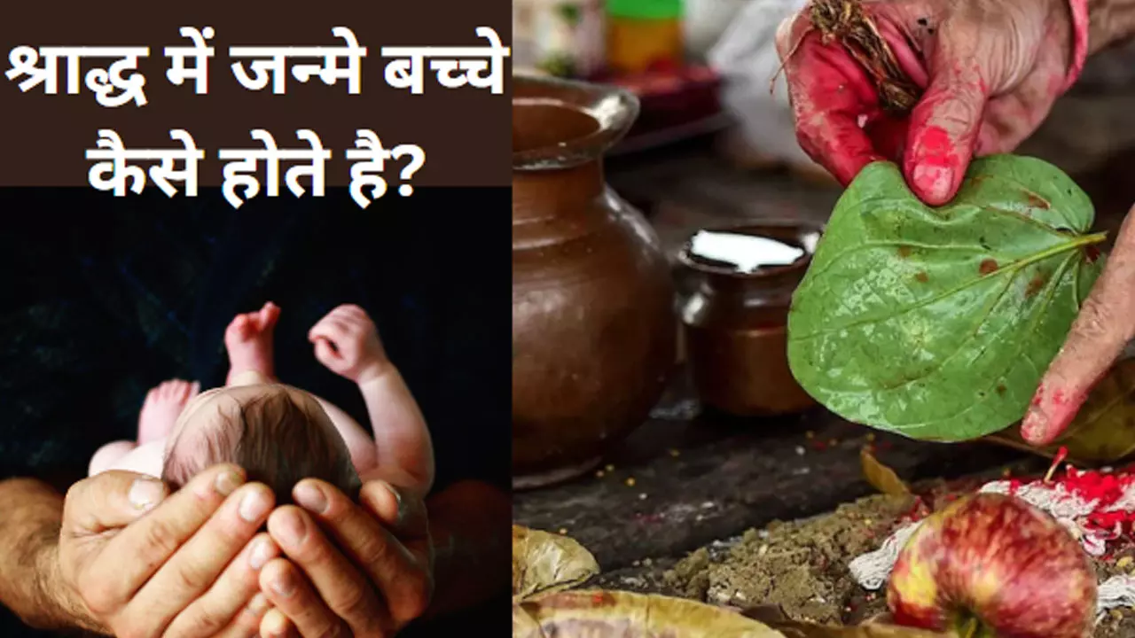 Pitru Paksha Shradh 2024 सच या भ्रम! पितृ पक्ष में बच्चे का जन्म हो तो क्या होगा? भविष्य, जानकर हो जाएंगे हैरान