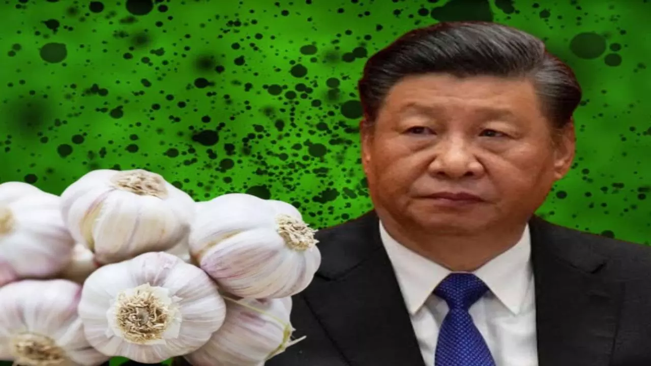 Banned Chinese Garlic in Market