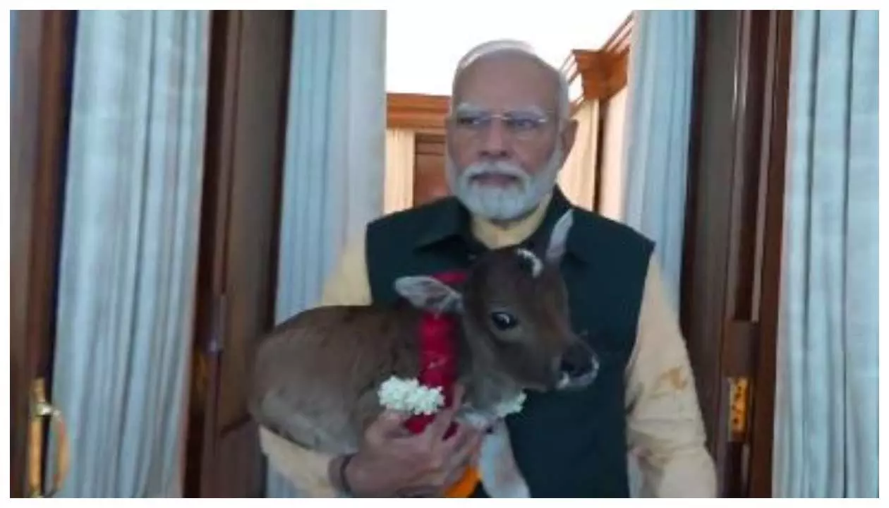 PM Modi