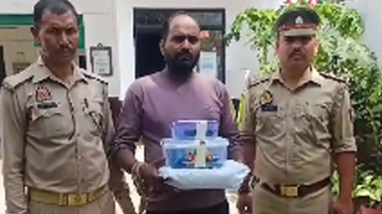 Mobile phones of attendants and patients stolen, accused in custody, mobile phones worth Rs. 1.5 lakh recovered