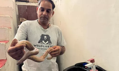 Wildlife SOS Action