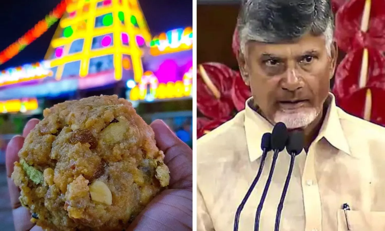 CM Chandrababu Naidu, tirupati balaji temple, animal fat in prasadam