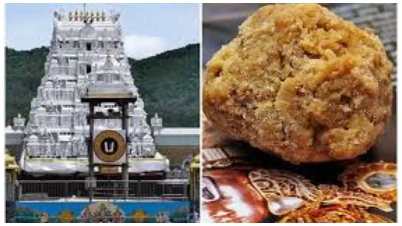 Tirupati Temple : तिरुपति मंदिर के प्रसाद में फिश ऑयल और पशु की चर्बी की मिलावट, जांच रिपोर्ट में हुआ चौंकाने वाला खुलासा