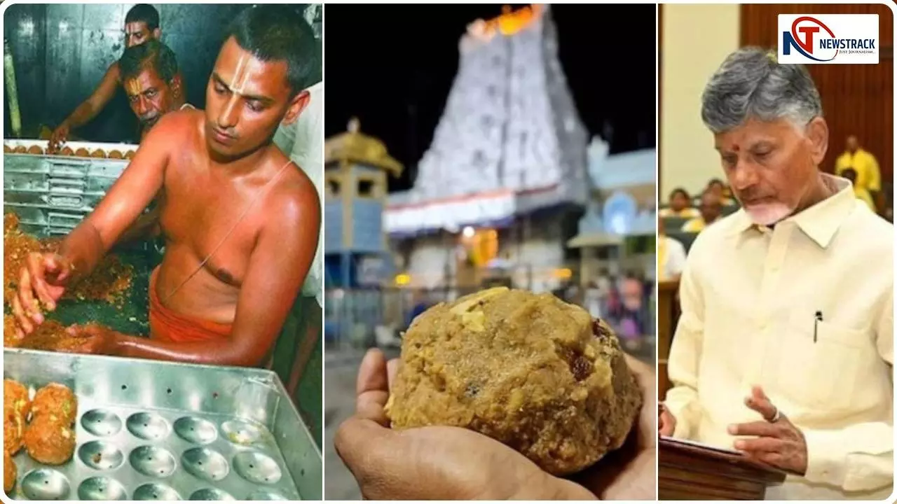 Tirupati Prasadam Controversy