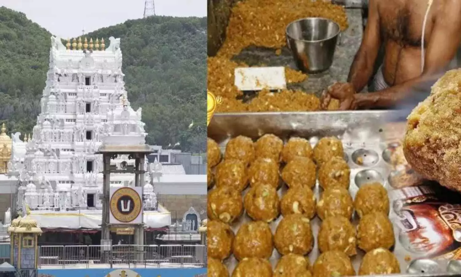 tirupati laddu dispute