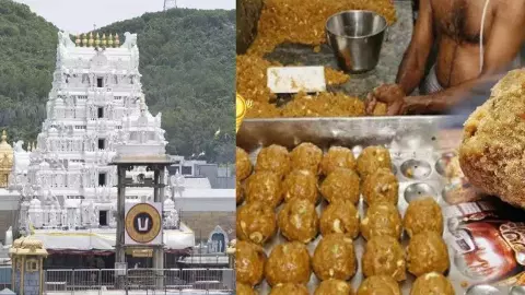tirupati laddu dispute tirupati laddu dispute
