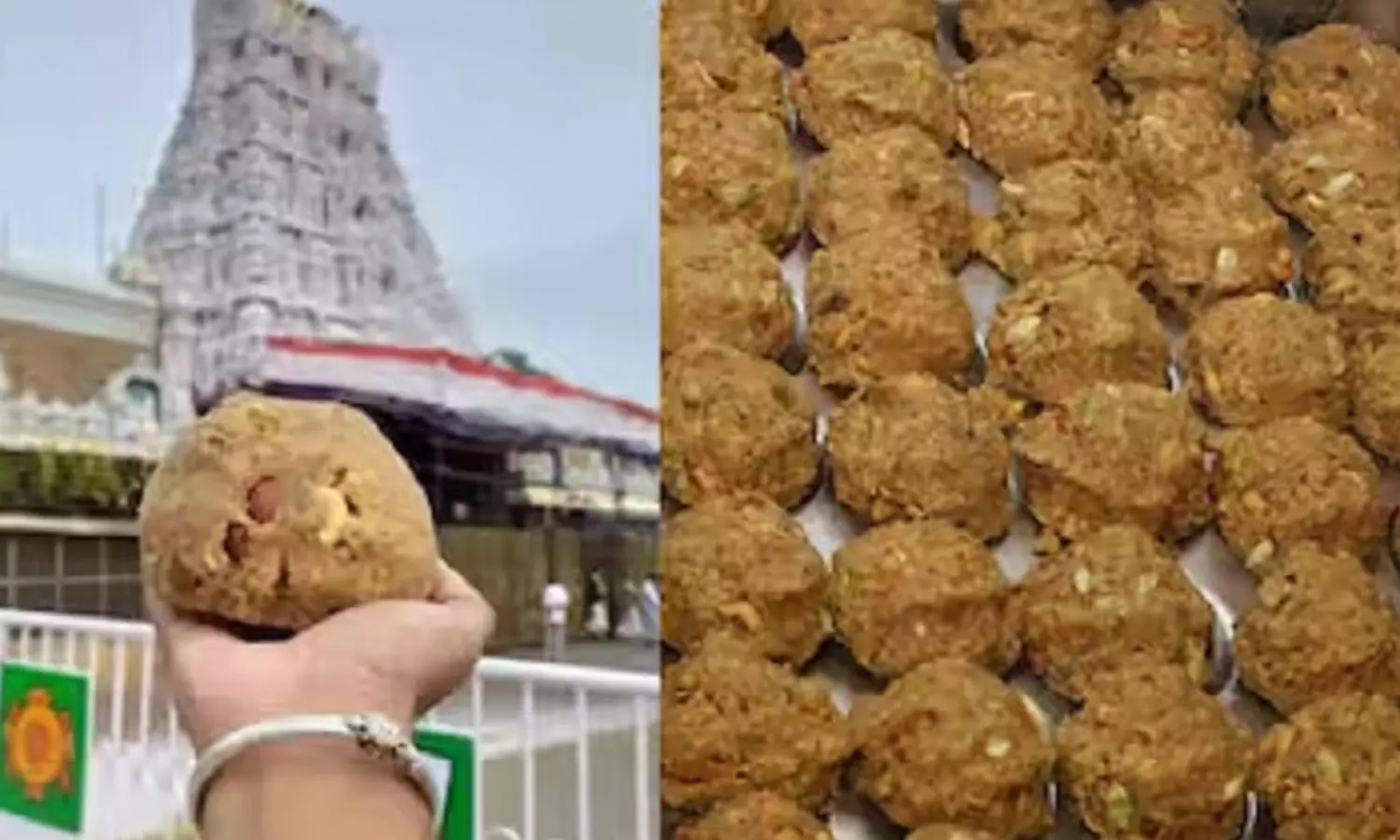 Tirupati Laddu