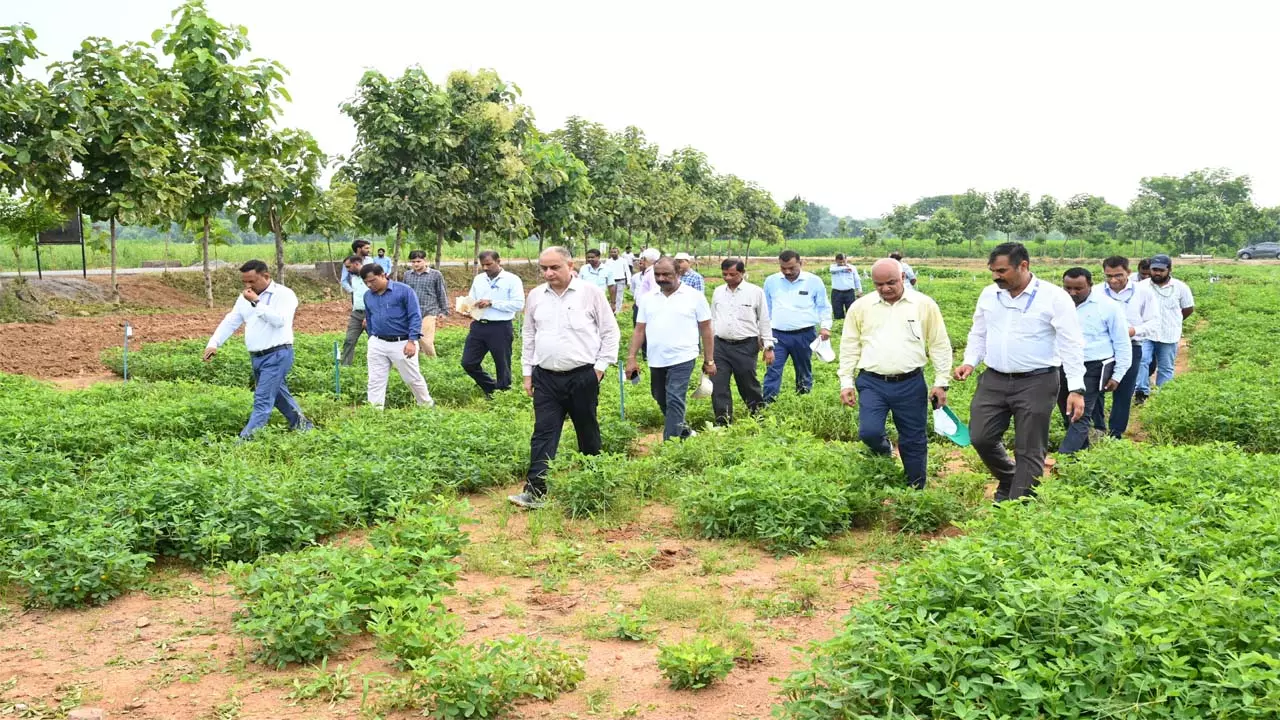 Officials of Rani Lakshmi Bai Central Agricultural University conducted a field visit of pulses and horticultural crops