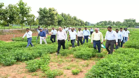 Officials of Rani Lakshmi Bai Central Agricultural University conducted a field visit of pulses and horticultural crops