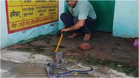 Etawah News ( Pic- Newstrack) Etawah News ( Pic- Newstrack)