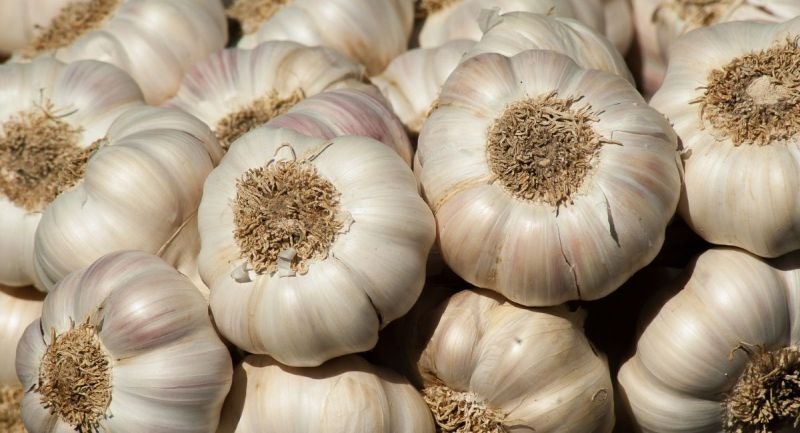 Chinese Garlic: खबरदार! चीन का लहसुन बिगाड़ सकता है सेहत, ऐसे करें पहचान