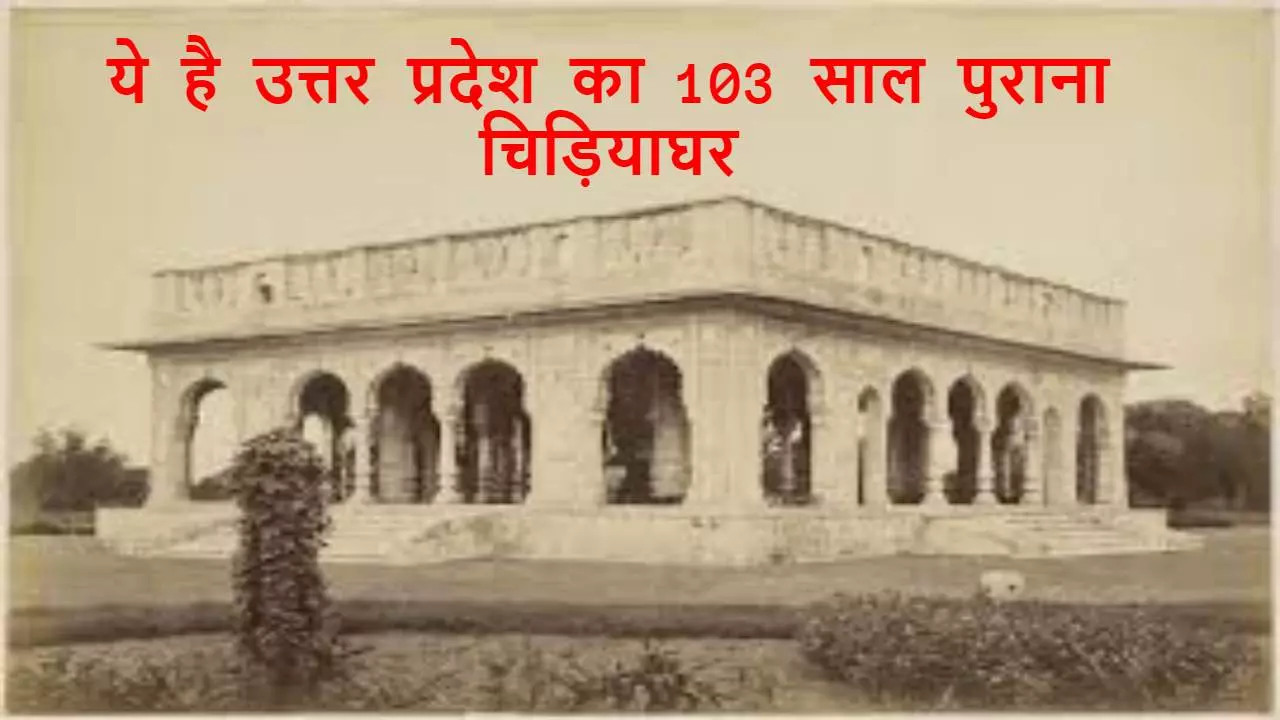 Oldest Zoo Of Uttar Pradesh