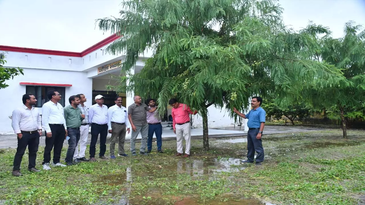 Acharya Narendra Dev Agriculture and Technology University developed 10 species of horticultural crops simultaneously