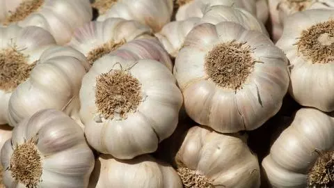 Chinese Garlic: खबरदार! चीन का लहसुन बिगाड़ सकता है सेहत, ऐसे करें पहचान