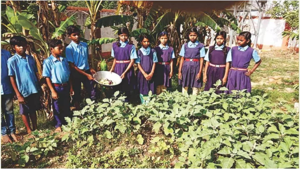 Nutrition Garden ( Pic- Social- Media)