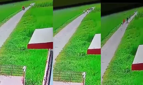 Hooligans harassed girl students going to coaching