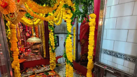 Kanpur News Kanpur News