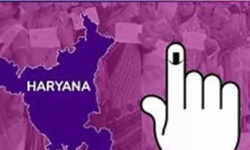 Haryana Election ( Pic- NewsTrack)