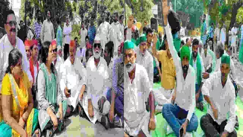 Moradabad News Moradabad News