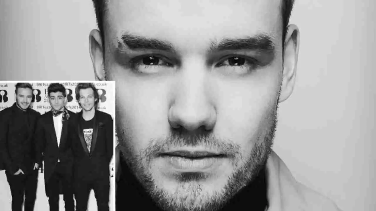 Liam Payne Net Worth