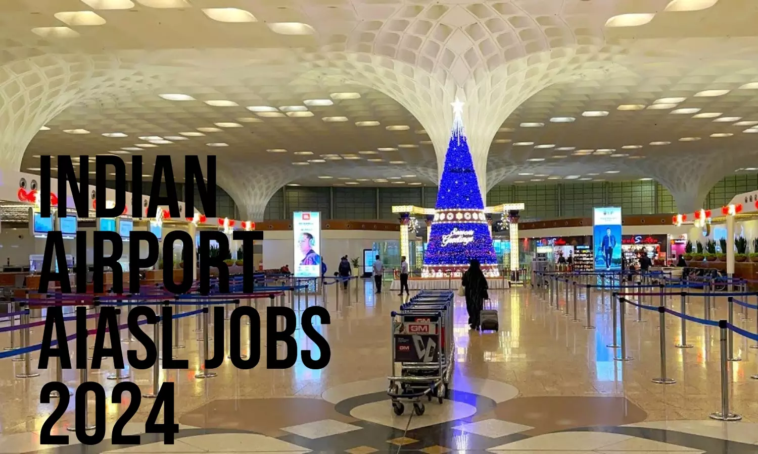 Indian Airport AI ASL Jobs 2024: एआई एयरपोर्ट सर्विसेज लिमिटेड में निकली 1652 पदों पर नौकरियां , 70000 तक मिलेगी प्रतिमाह सैलरी