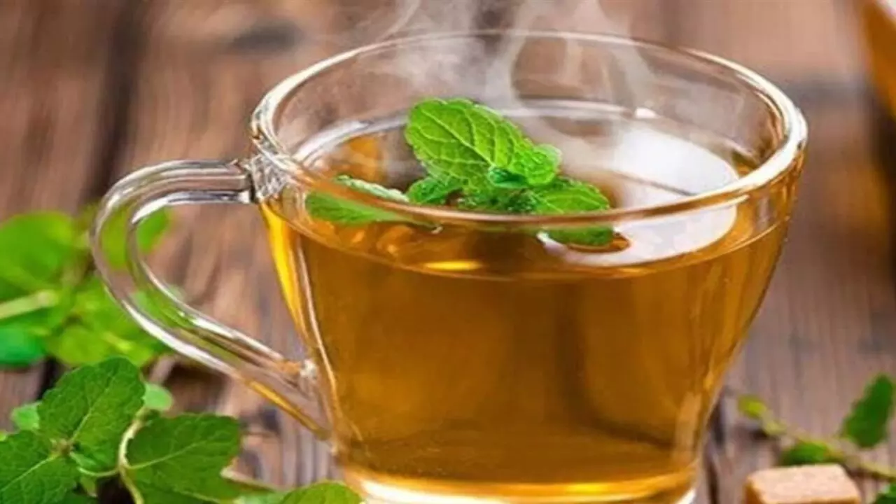 Tulsi Tea Benefits: तुलसी की चाय की चुस्की से दूर रहेगी ये बीमारियां, मिलते हैं अनगिनत फायदे