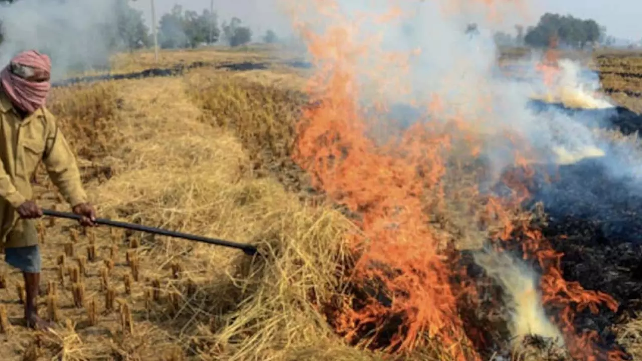 Stubble burning despite satellite monitoring, fine imposed on four farmers