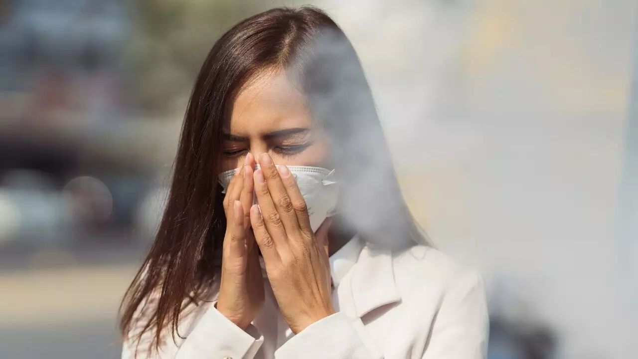 Air Pollution Se Kaise Bache: दिल्ली में बढ़ा वायु प्रदूषण, जानें खुद को कैसे रखें सुरक्षित