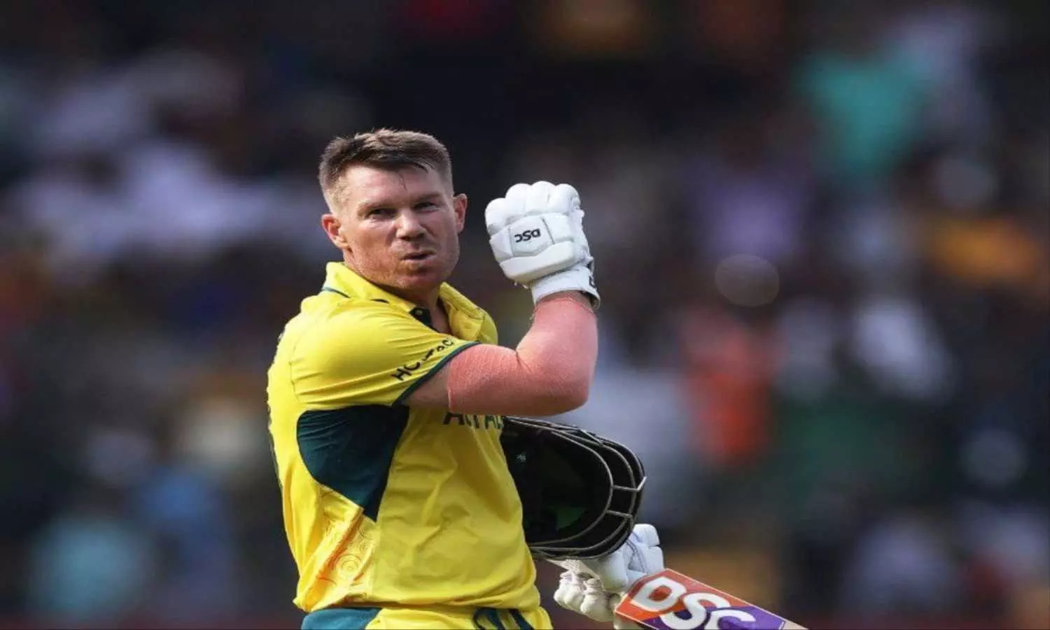 Sports, Cricket, David Warner, Australia Cricket Team, David Warner Ban