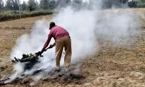 58 farmers caught burning stubble in satellite, now they will have to pay a hefty fine