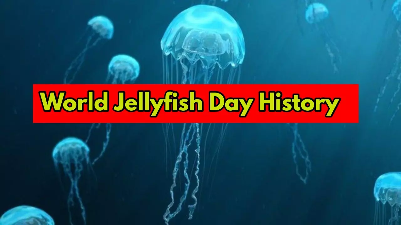 World Jellyfish Day History and Facts