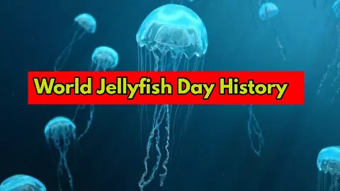 World Jellyfish Day History and Facts