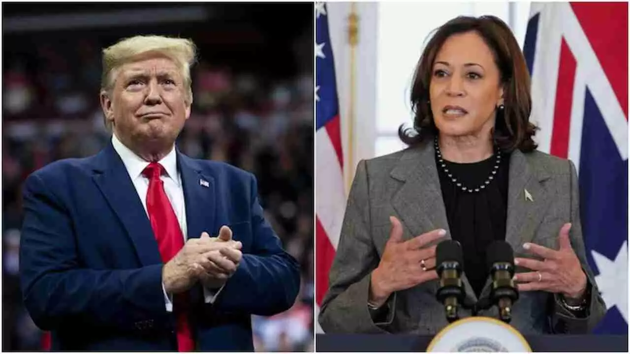 Donald Trump , Kamala Harris