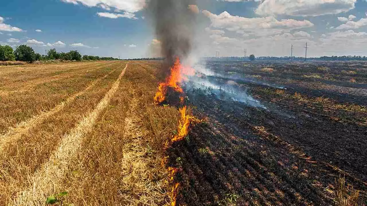 burning crop residues