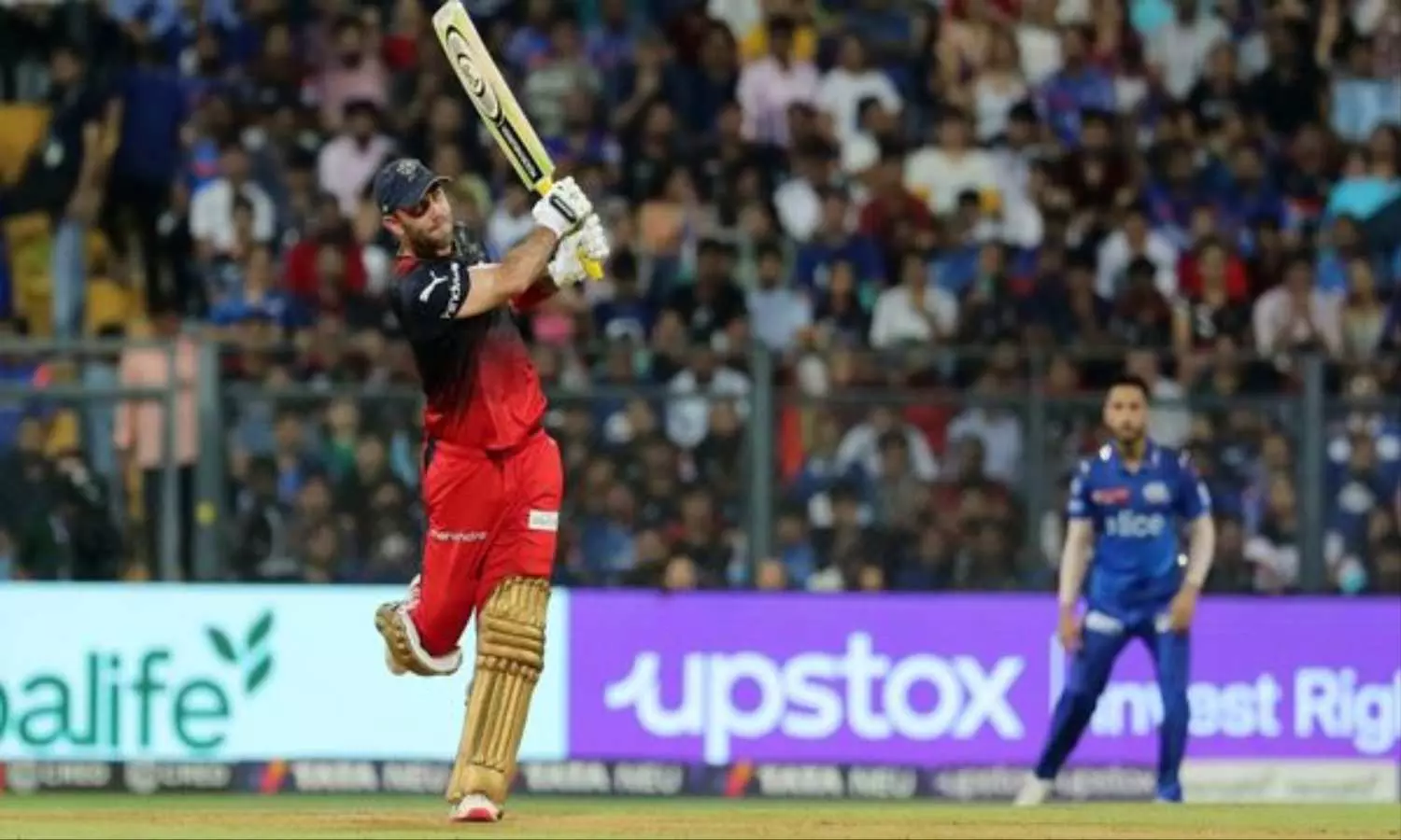 Glenn Maxwell, IPL, IPL 2025, Cricket, Sports, RCB, Royal Challengers Bangalore, Glenn Maxwell IPL