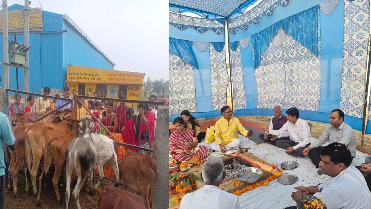 Cows were worshipped at many places in Meerut on Gopasthami