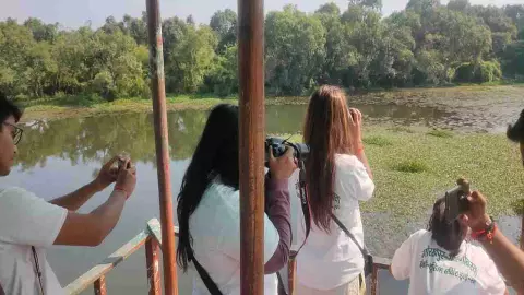 jungle safari