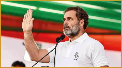 Politics : राहुल गांधी के खिलाफ बीजेपी ने चुनाव आयोग से क्यों की शिकायत? जानिए पूरा मामला