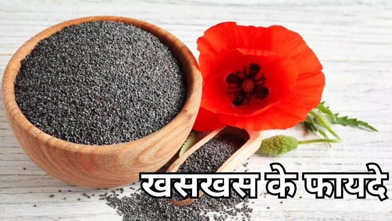 Poppy seeds are a treasure of health along with taste, banned in many places