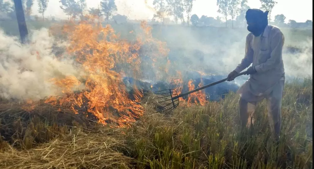 नासा की सैटेलाइट को मात दे रहे पराली जलाने वाले किसान