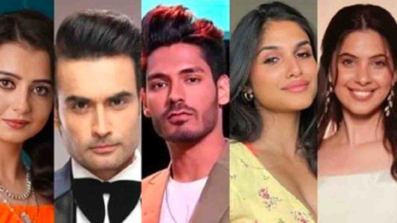 Bigg Boss 18 Evicted Contestants This Week