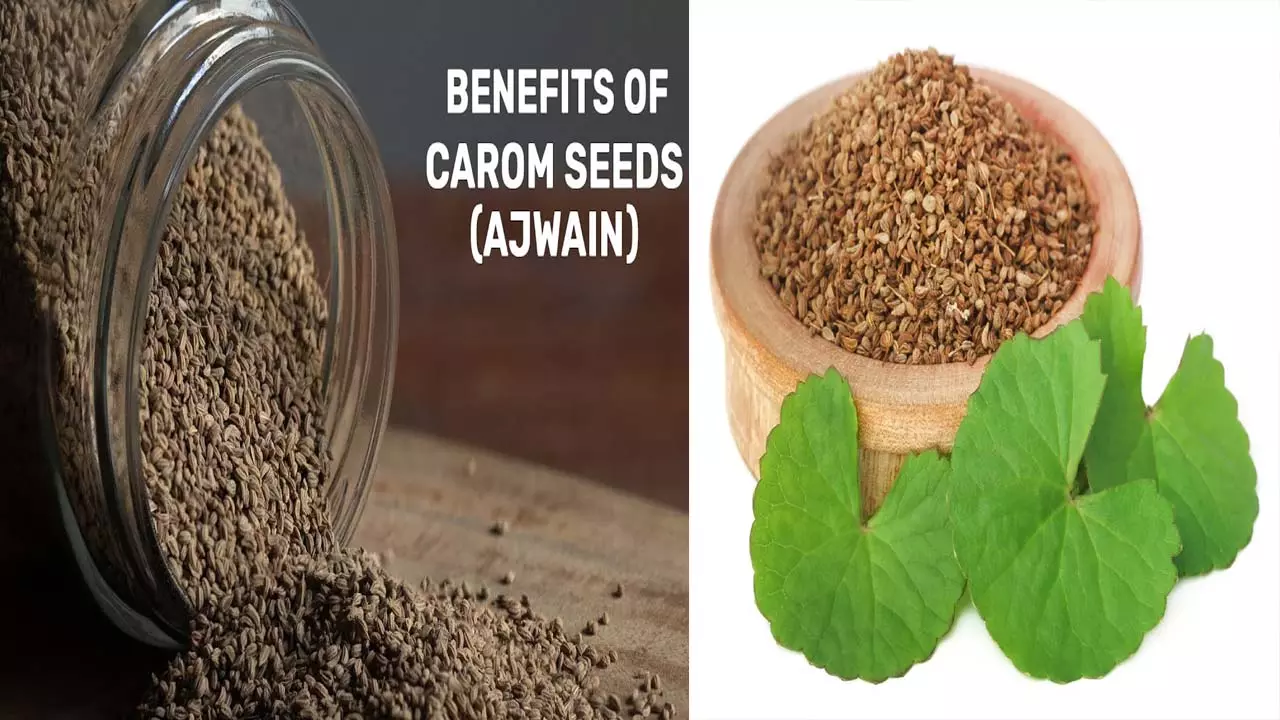 Indi lang ang kahumot kag sabor Ang edad isa ka Celery proves to be a carom seeds for weight loss, asthma and many stomach diseases, know the method of usenga bulong sa madamo nga mga balatian